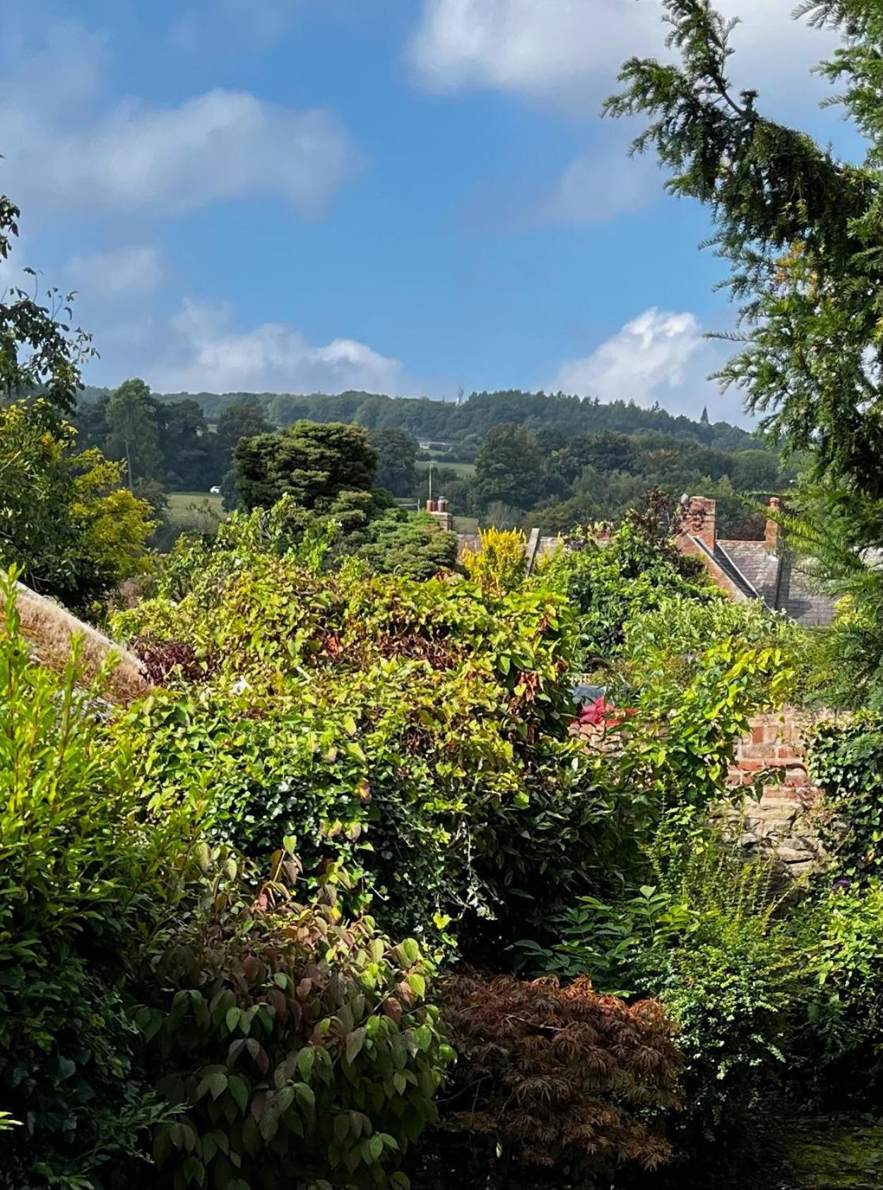 Flower Cottage By Ludlow Castle With Onsite Parking Esterno foto
