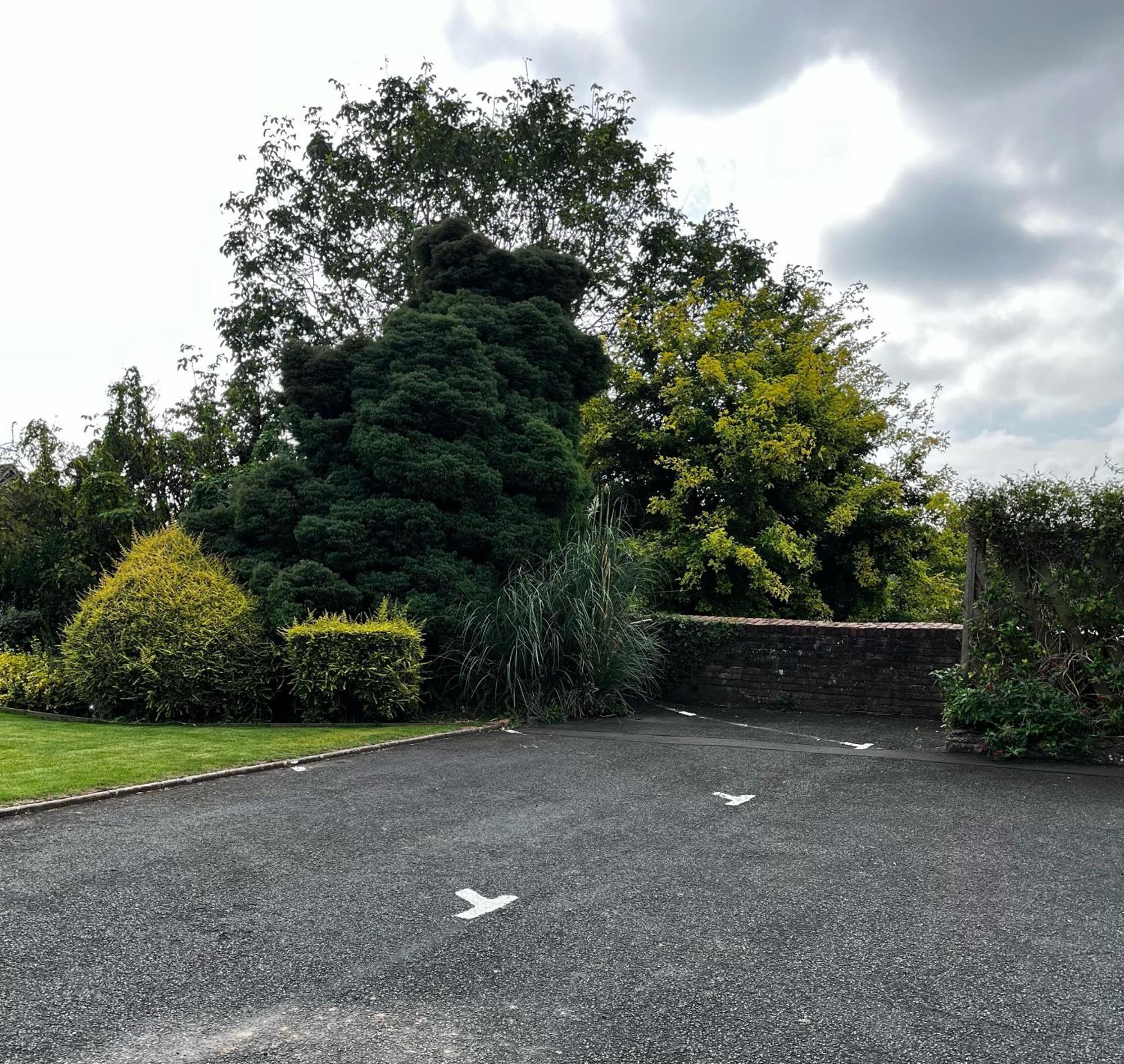Flower Cottage By Ludlow Castle With Onsite Parking Esterno foto
